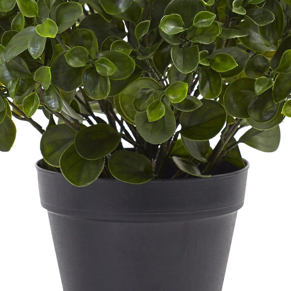 Nearly Natural 23 in. Peperomia Plant UV Resistant (Indoor/Outdoor)