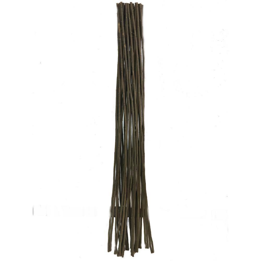 MGP 72'' H x 20'' W Wood Obelisk Trellis