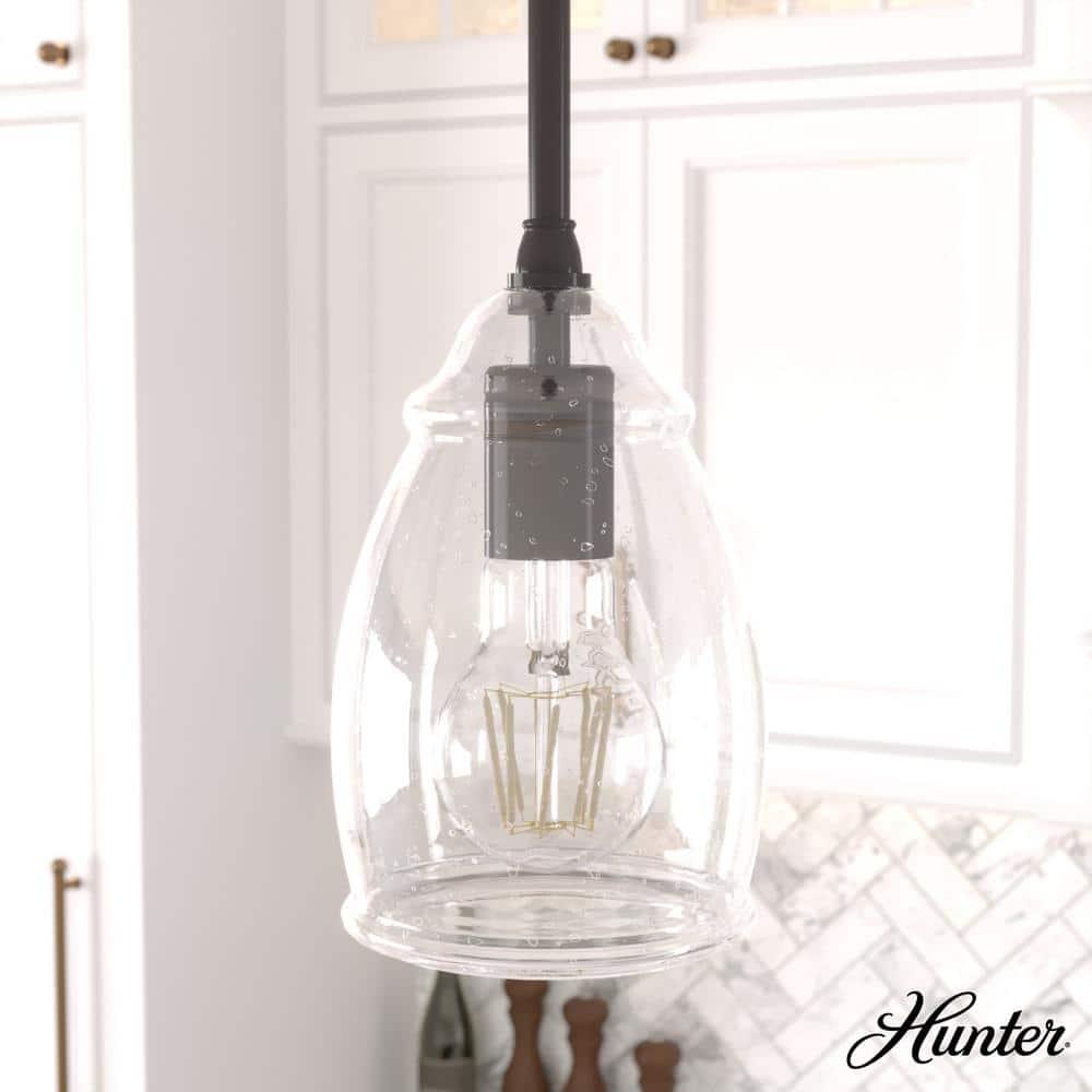 Hunter Fan Dunshire 1 Light Noble Bronze Pendant with Glass