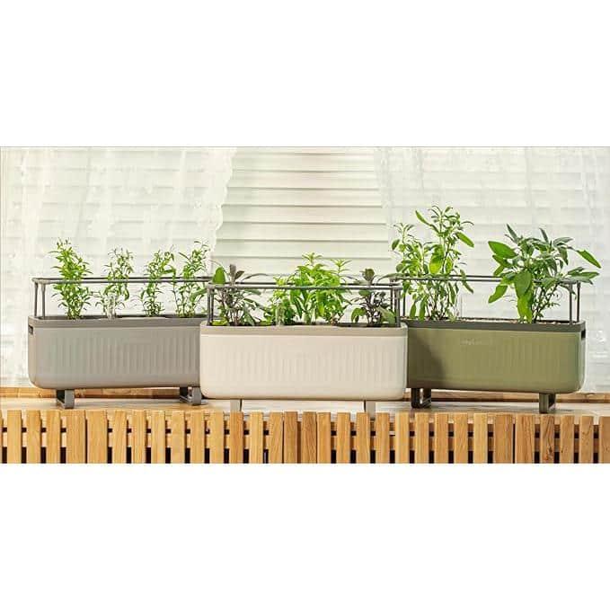 Vego Garden Mini Herb Plastic Outdoor Pot Planter with Trellis