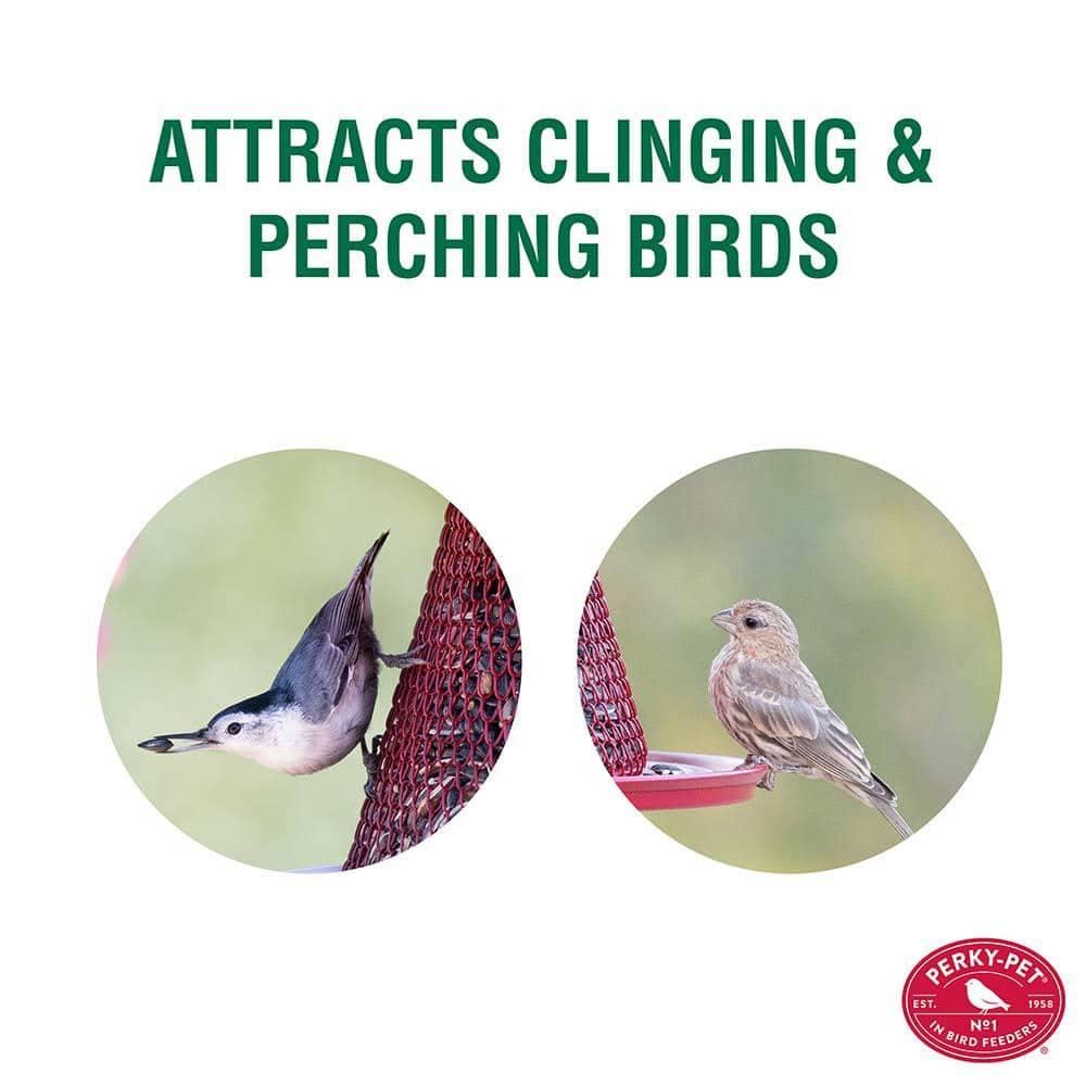 Perky-Pet Red Cardinal Wild Bird Feeder - 2.5 lb Capacity