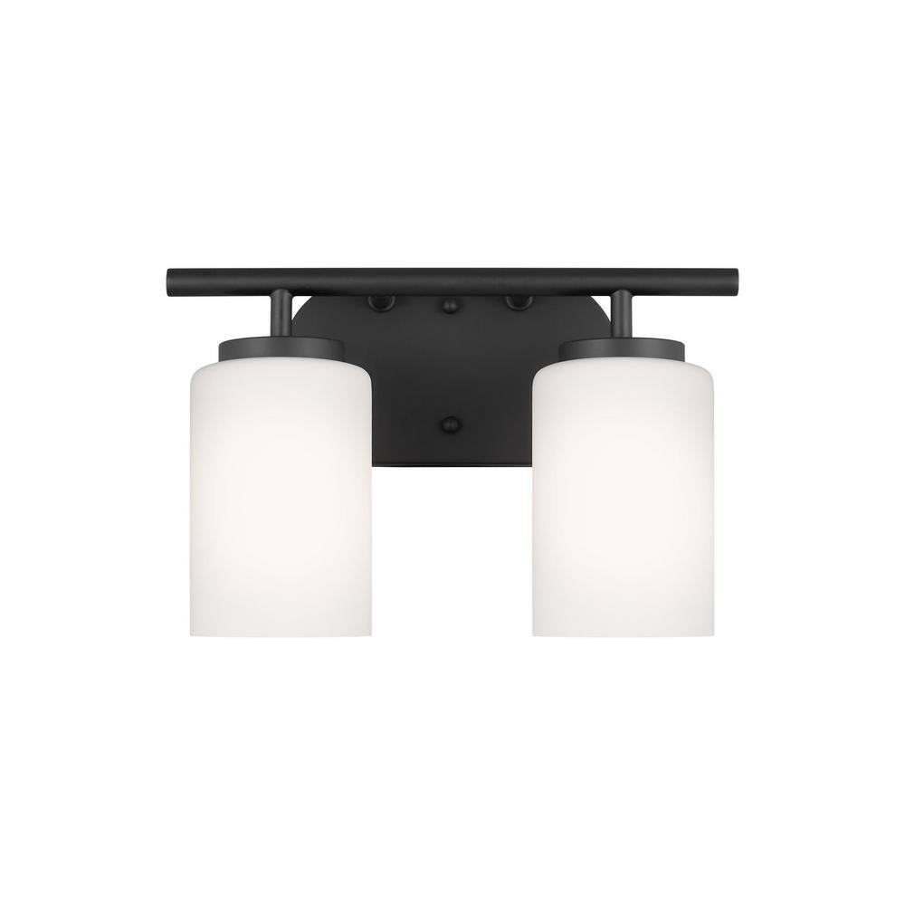 Oslo 12.5 in. 2-Light Midnight Black Transitional Contemporary Bathroom Vanity Light with Cased Opal Etched Glass Shades