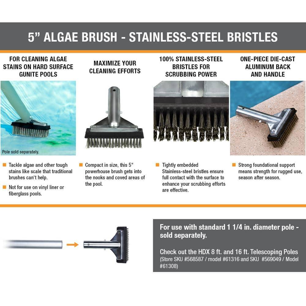 HDX 60278 5 in. Stainless Steel Bristle Swimming Pool Brush for Algae Removal