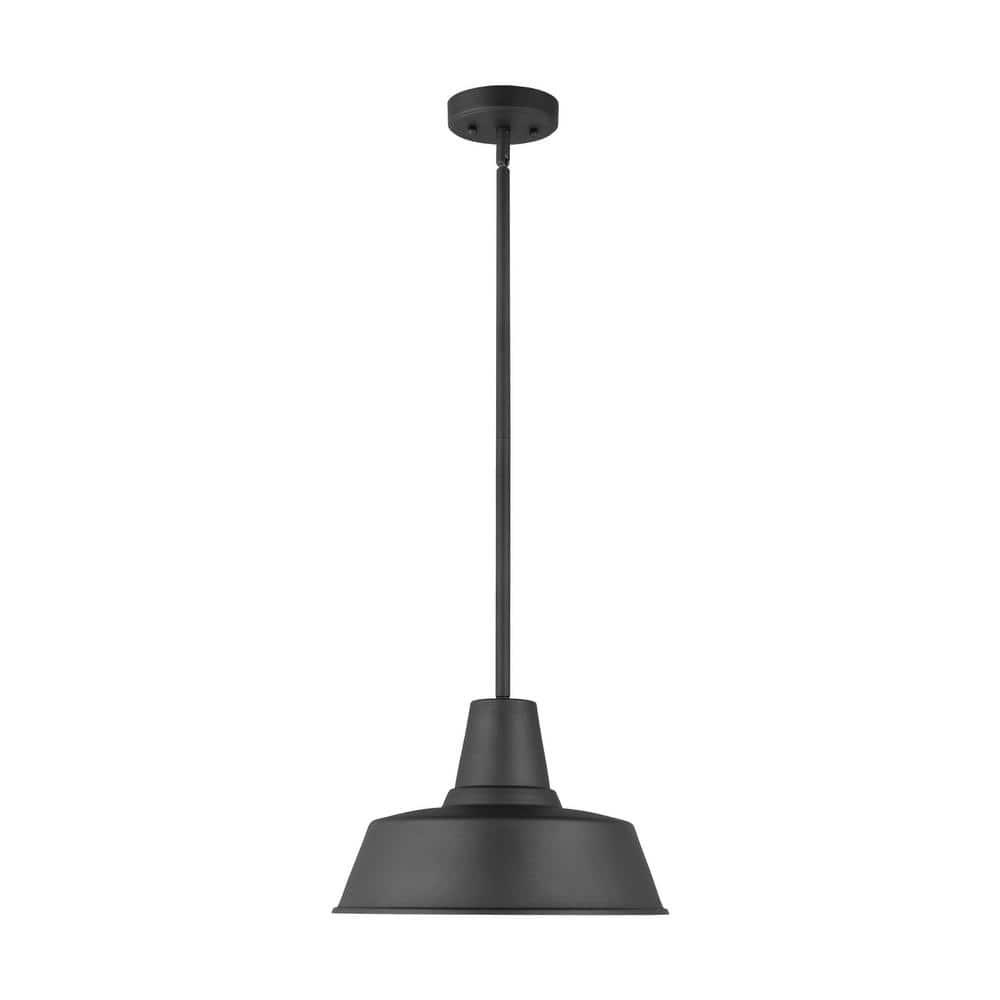 Fisher Outdoor Pendant Light - Black / 14" Dia
