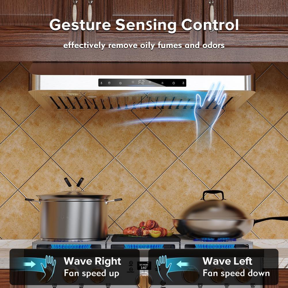 36 in. 900 CFM Ducted Under Cabinet Range Hood in Stainless Steel with Remote Control and LED Lights