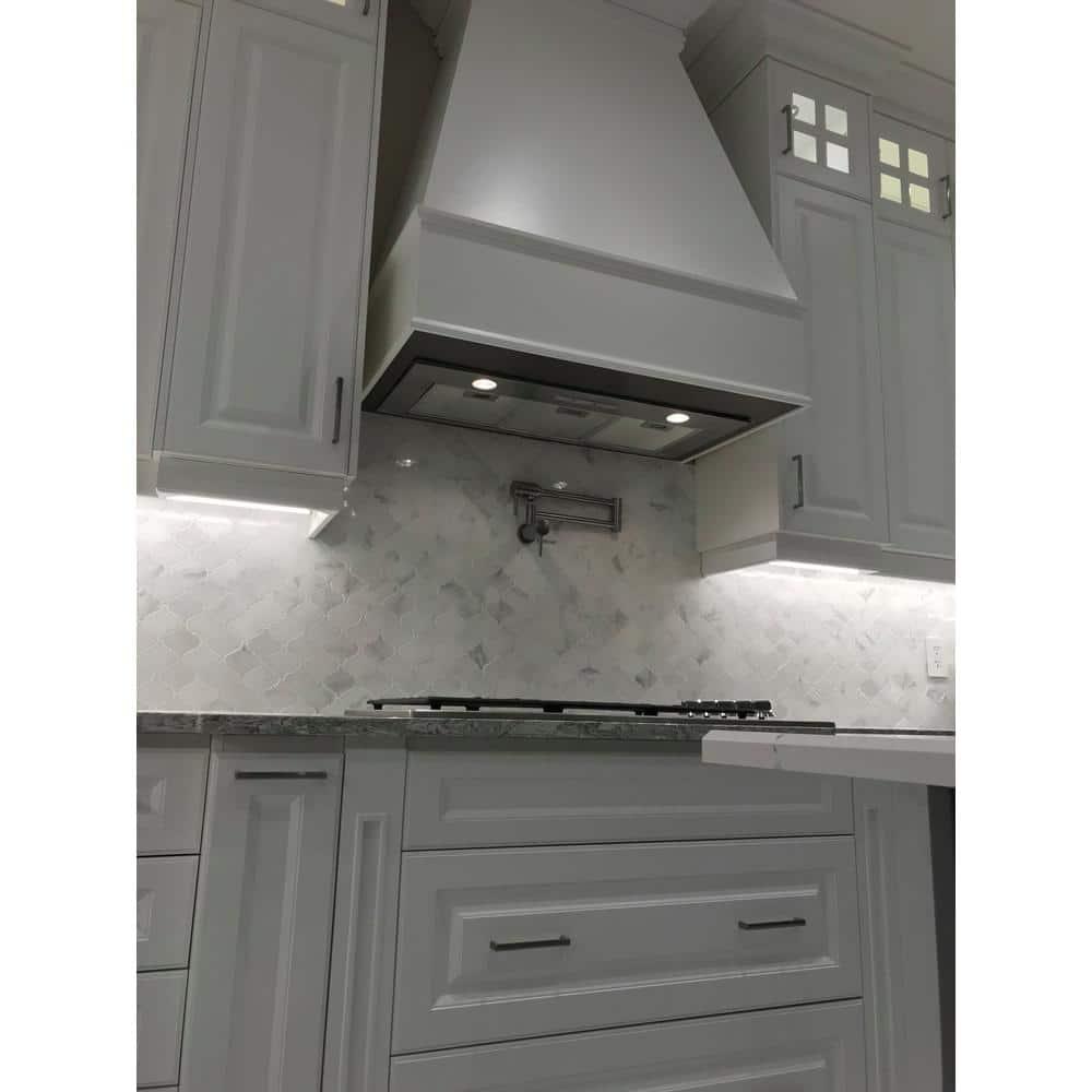 Cyclone Stainless Steel 550 CFM Ducted (Vented) Insert Range Hood with Mesh Filter