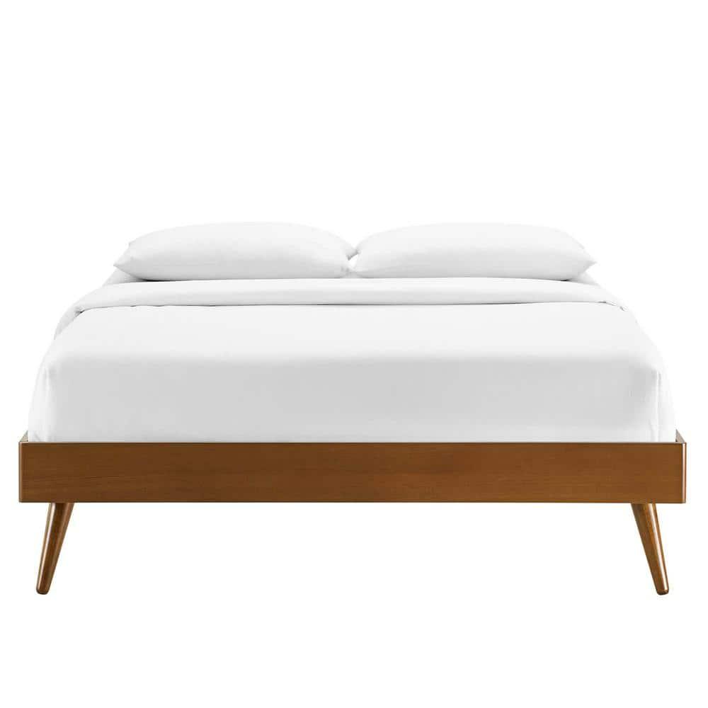 Modway Margo Queen MDF Wood and Rubberwood Platform Bed Frame in Walnut