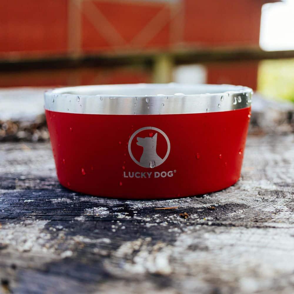 Lucky Dog Lucky Dog INDULGE 5 Double Wall Stainless Steel Dog Bowl
