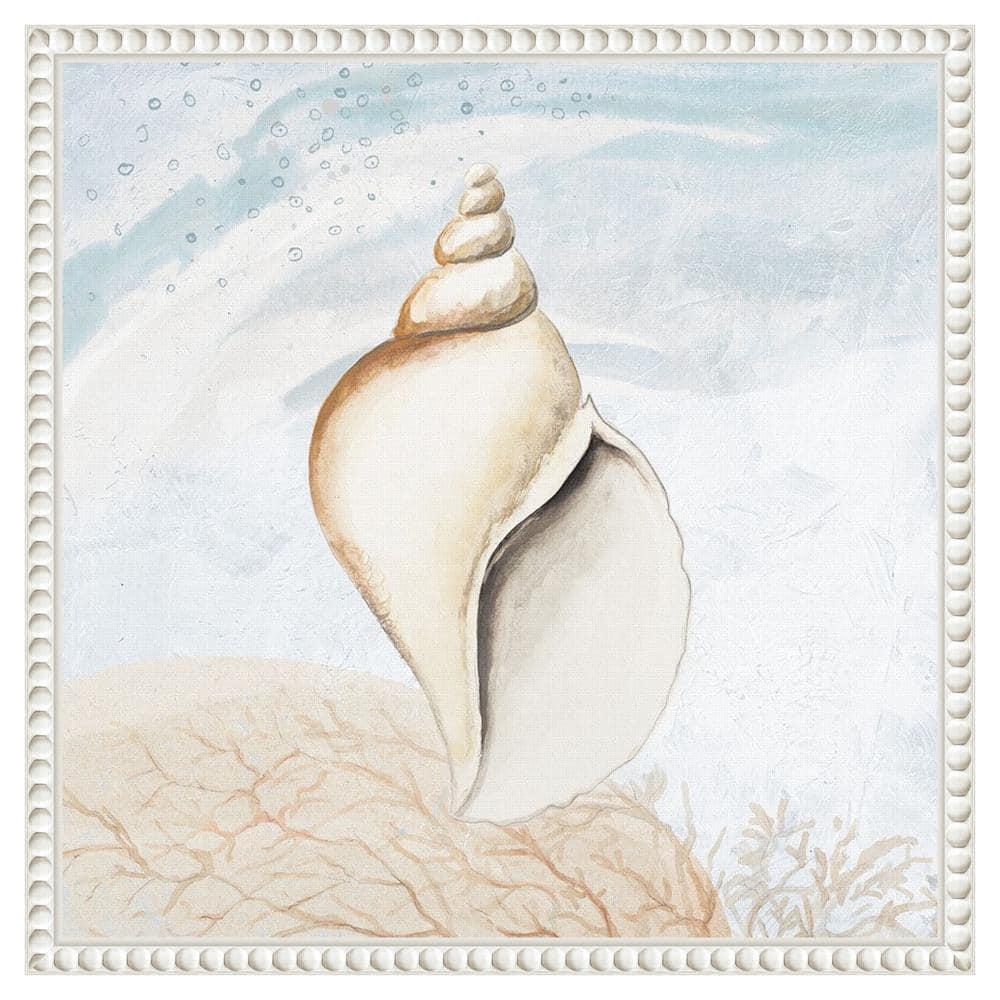 Amanti Art Ocean Oasis Tropical Seashell I by Patricia Pinto Canvas Wall Art Print Framed 16 x 16-in.