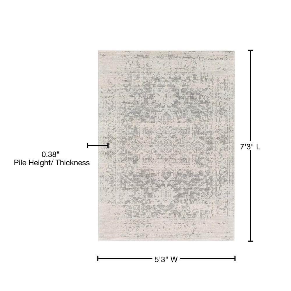 Prisha Rug - Stone / 5'3" x 7'3"