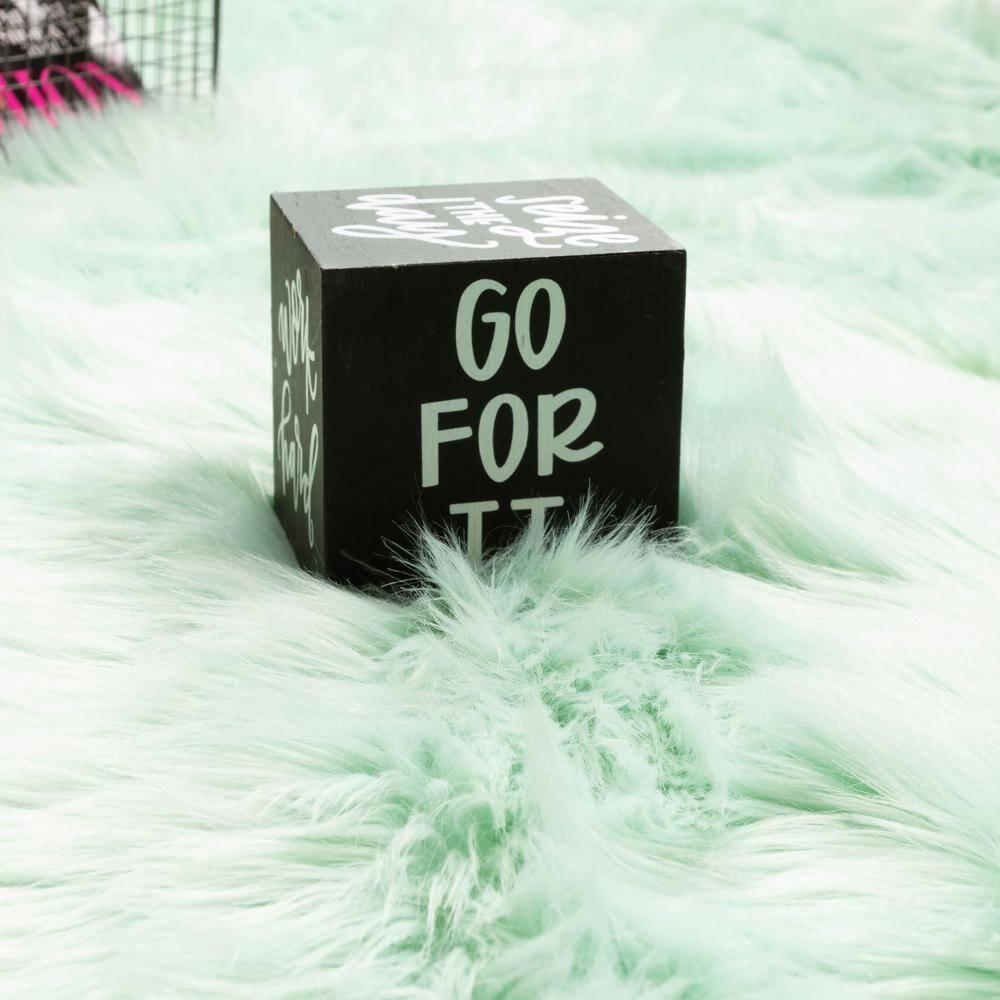 Faux Fur Shag Rug Mint Green - 5' x 7'