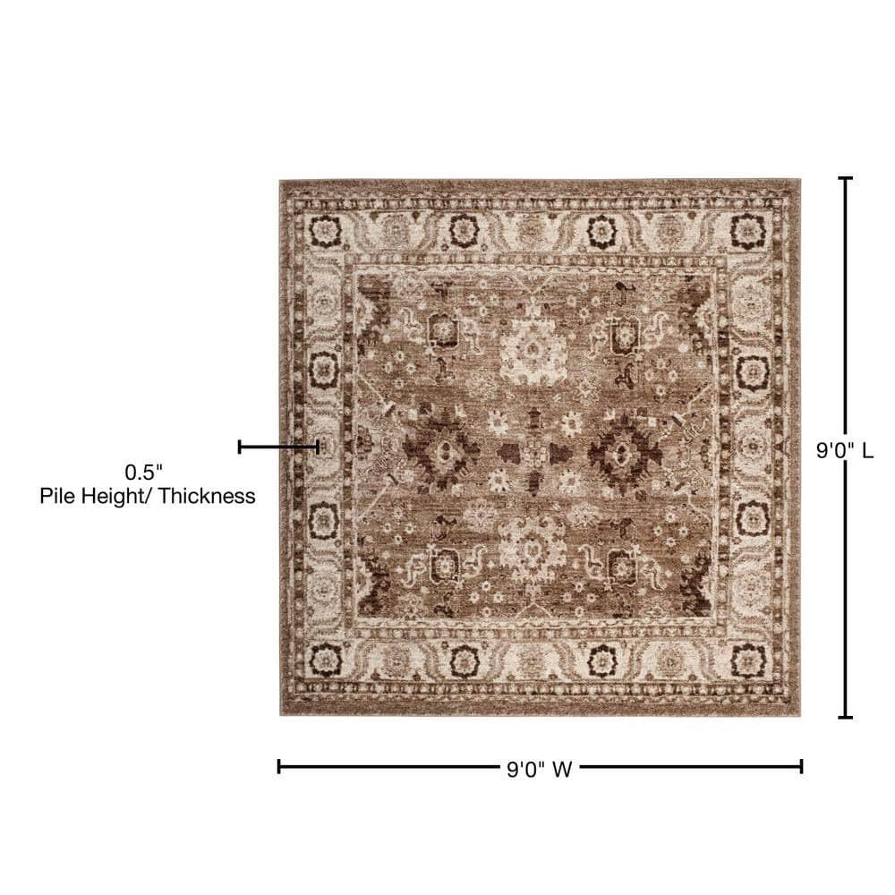 Vintage Hamadan VTH214 Power Loomed Area Rug - Taupe - 9'x9' - Safavieh.