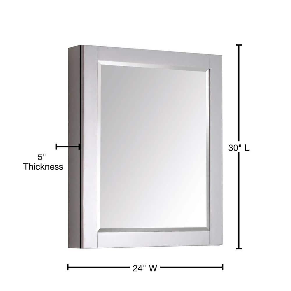 AVANITY  24 in. Mirror Cabinet - 24"W x 30"H Chilled Gray