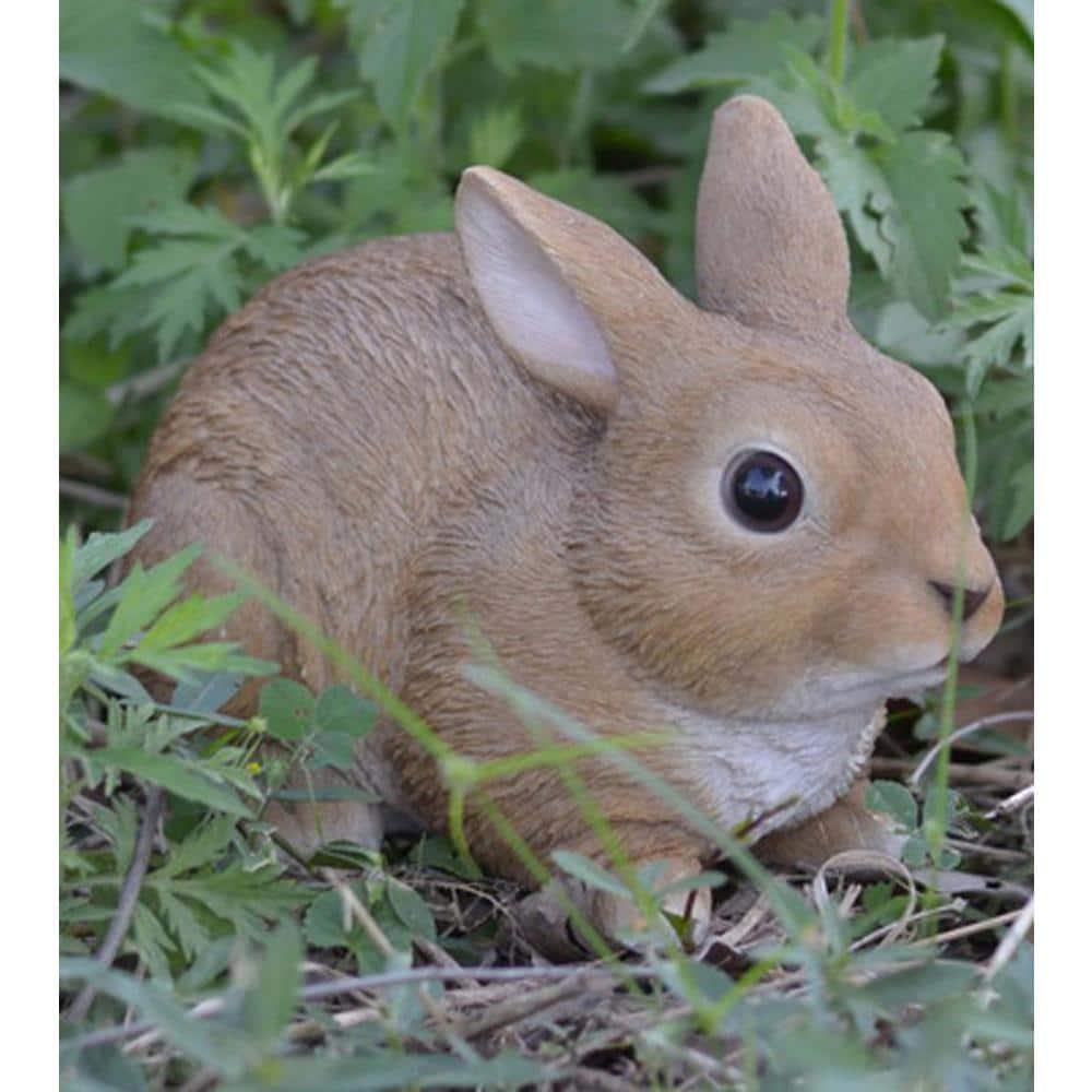 Hi-Line Gift Ltd. Sitting Rabbit Statue