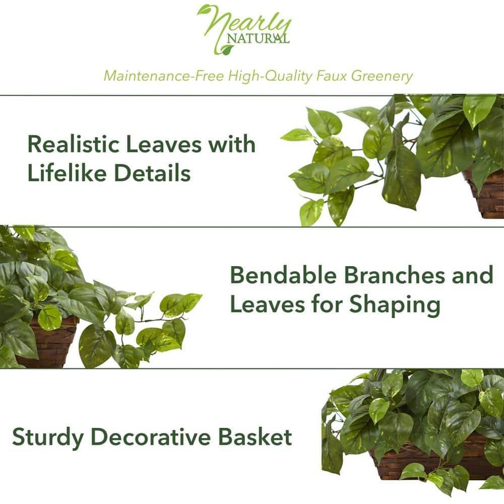 Nearly Natural Pothos with Ledge Basket