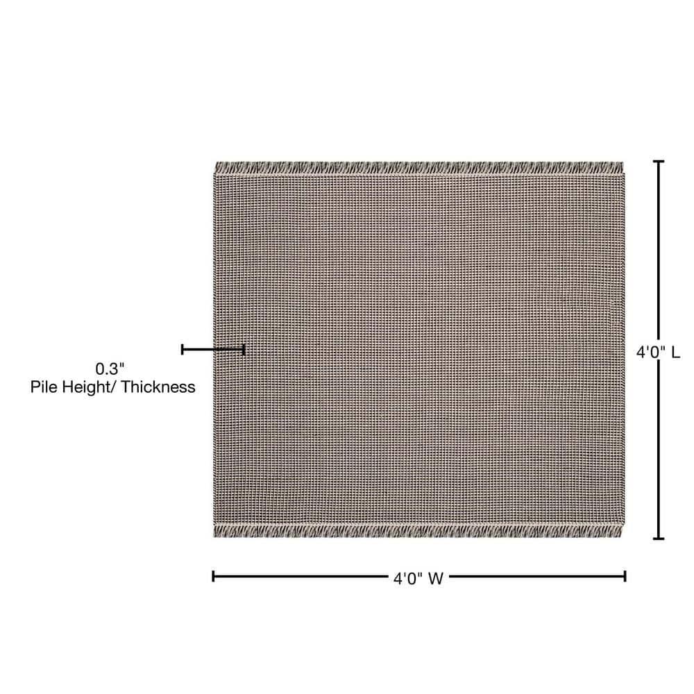 Montauk MTK340 Hand Woven Indoor Accent Rug - Ivory/Black - 4'x4' - Safavieh