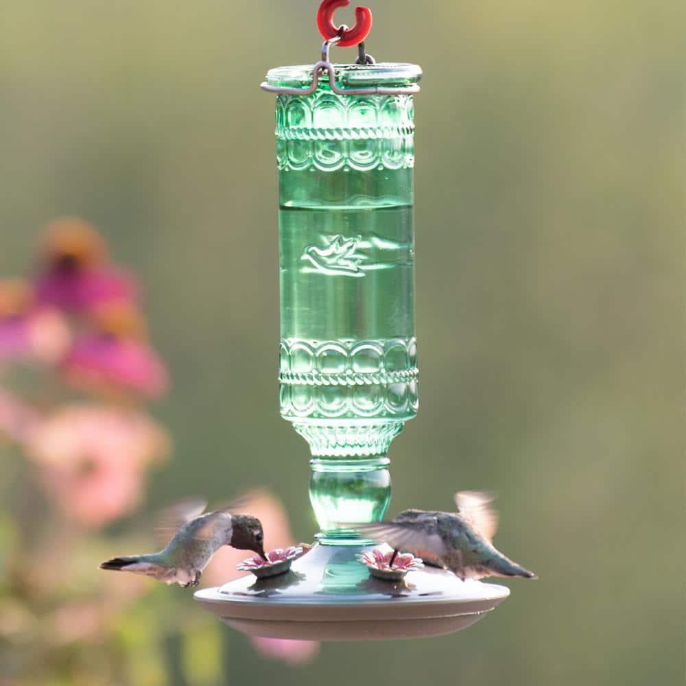 Woodstream Glass Hanging Soda Bottle Feeder