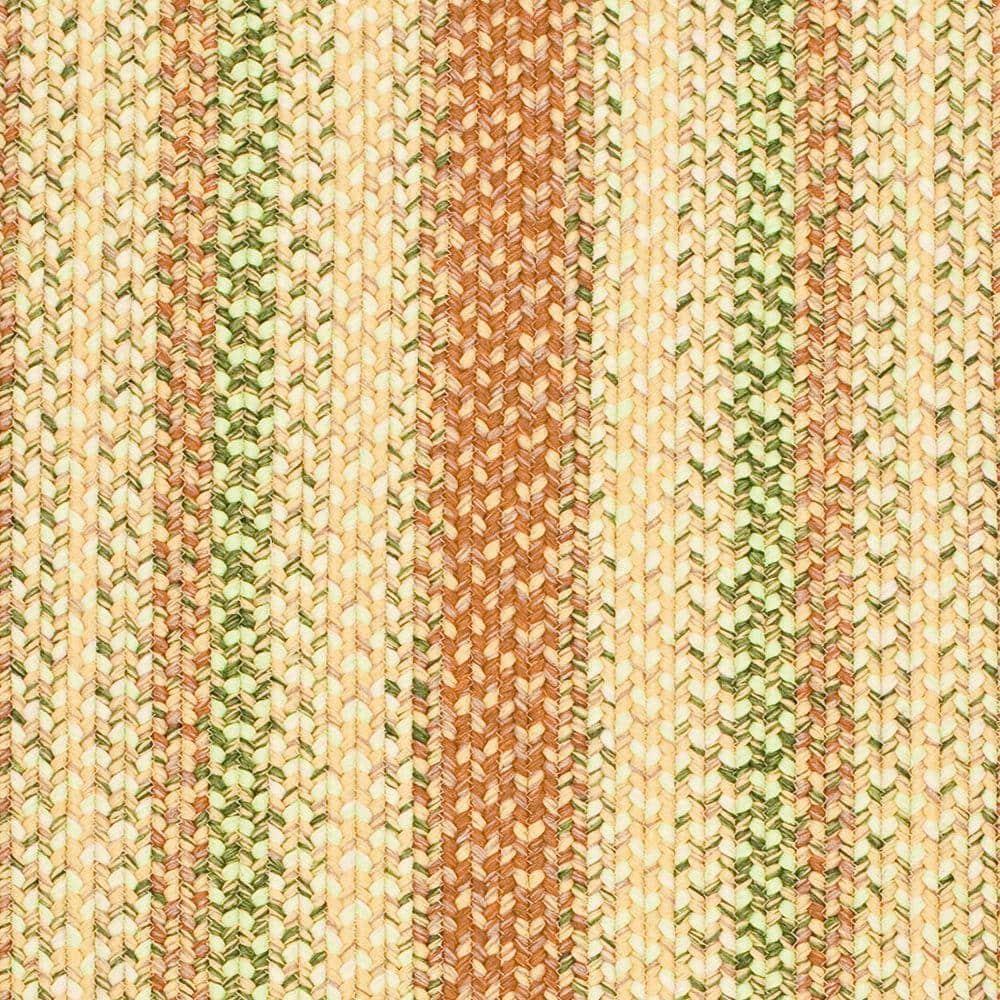 Braided BRD303 Hand Woven Accent Rug - Rust/Multi - 2'x3' - Safavieh.