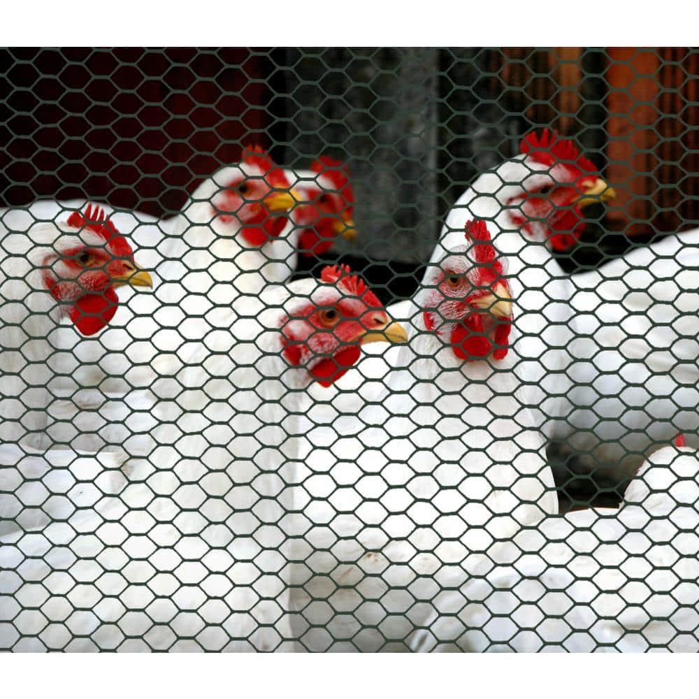 Boen Plastic Hex Chicken Wire Mesh Temporary Fence Roll 2' x 25' with Rust Resistant