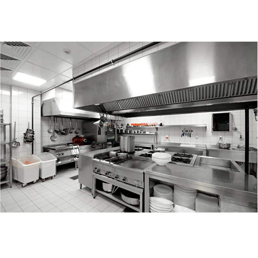 23.75'' L x 23.75'' W Smooth PVC Drop-In Ceiling Tile In White