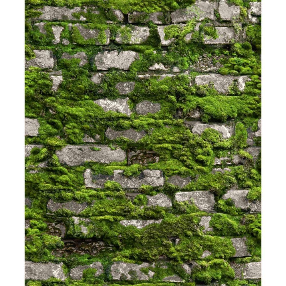 Bricks and More Collection Mossy Stone Wall Wallpaper Roll