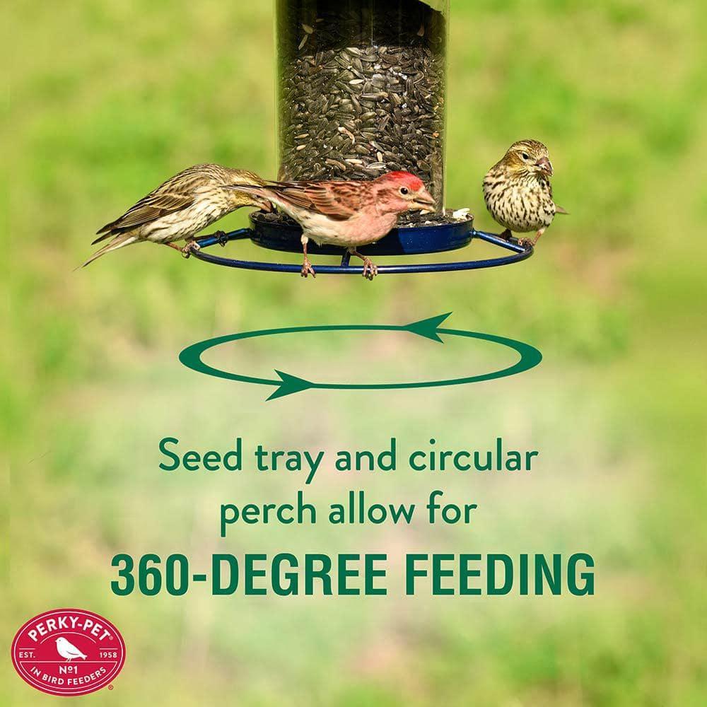 Perky-Pet Wild Bird 2 lb Metal/Plastic Panorama Bird Feeder 1 ports (Case of 2)