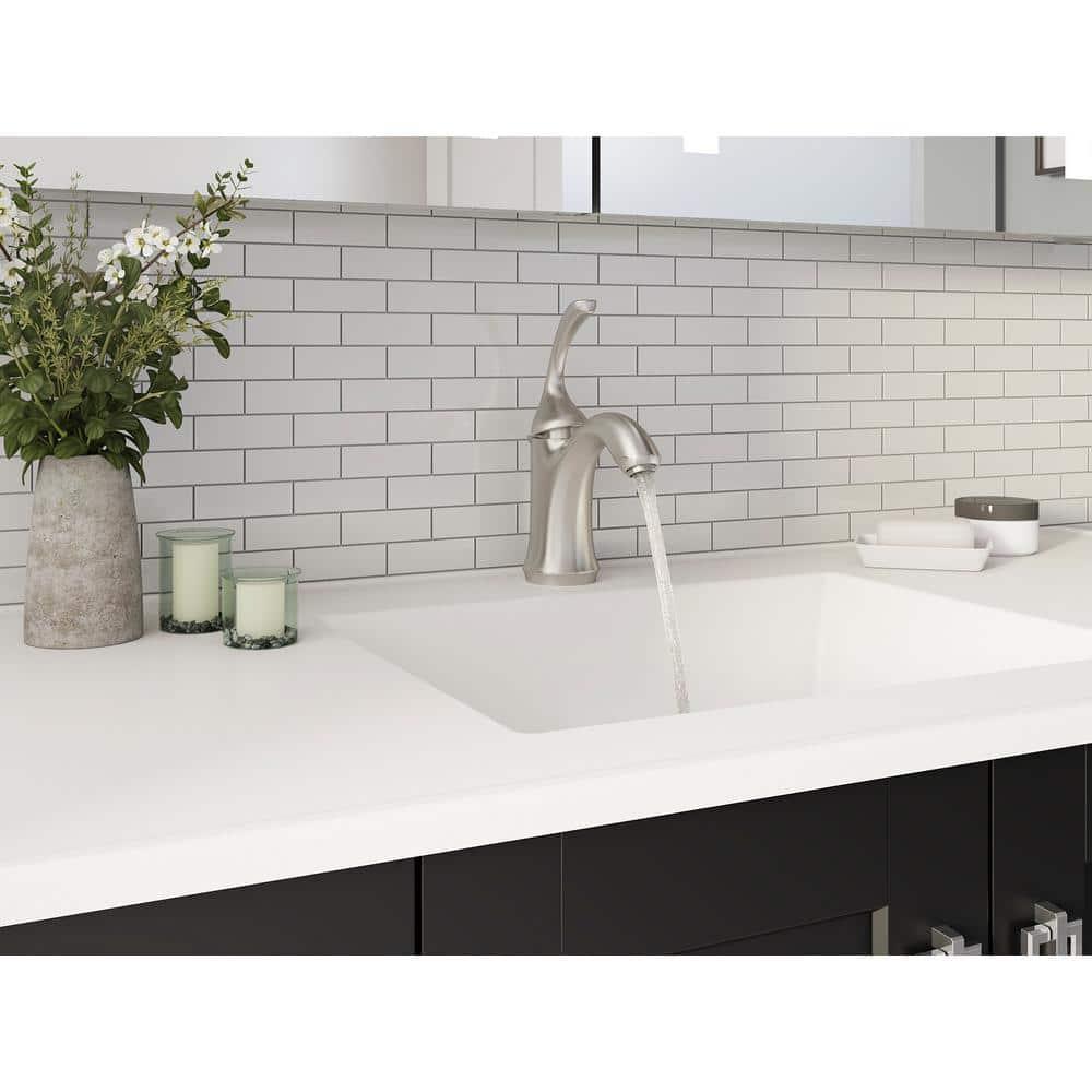 Forté Single-Handle Bathroom Sink Faucet with Drain Assembly and Escutcheon Plate, 1.2 GPM