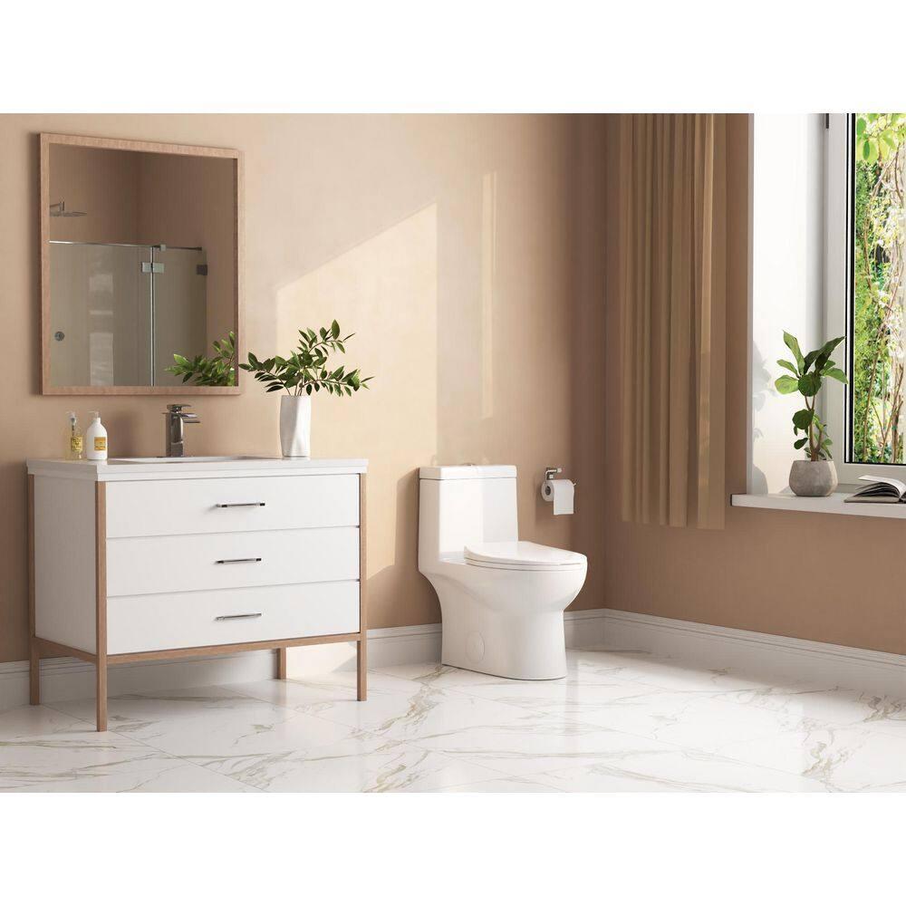 DeerValley Ally Dual-Flush Elongated One-Piece Toilet with Glazed Surface Modern Toilet with Comfort Seat Height  (Seat Included) DV-1F52816