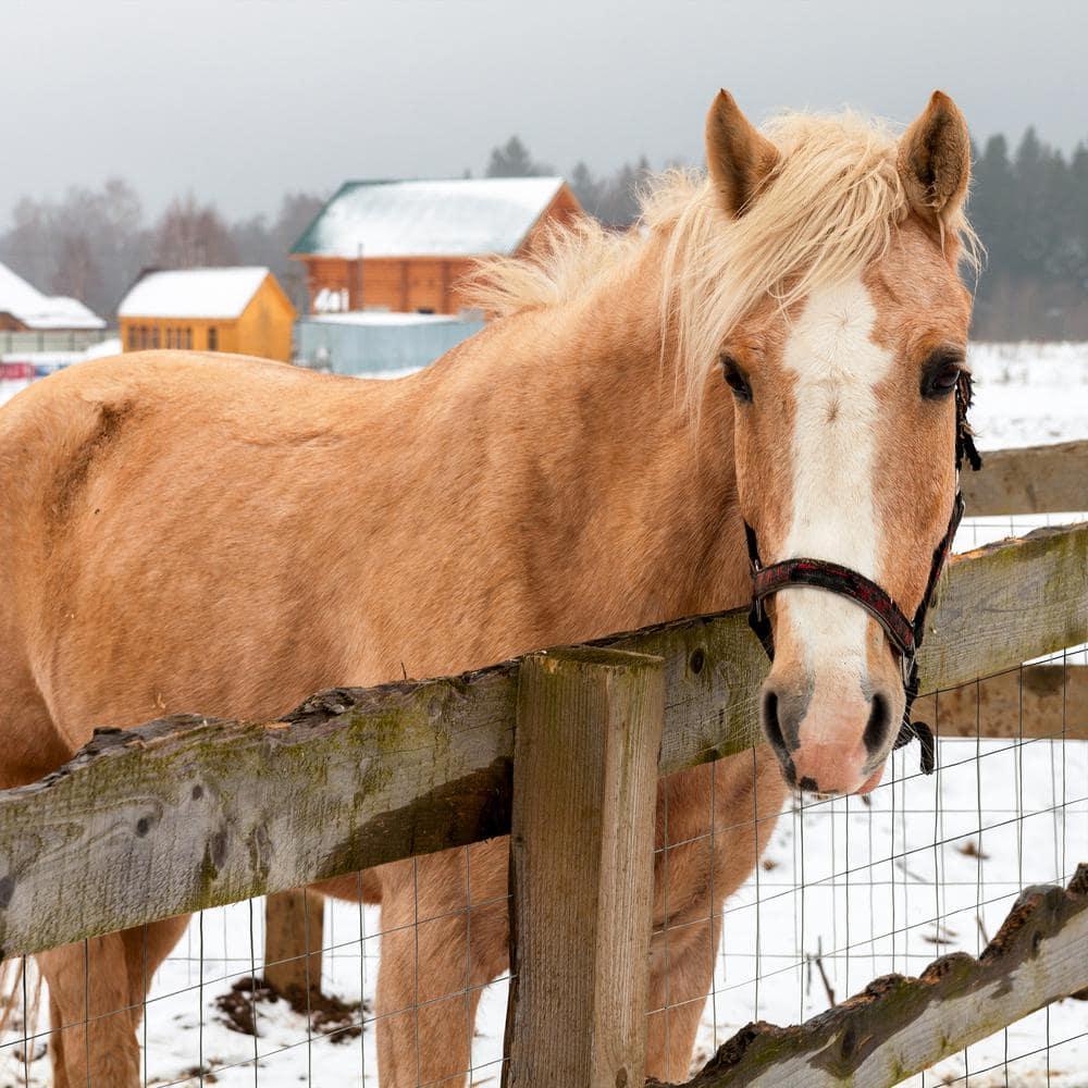 YARDGARD Metal Fencing