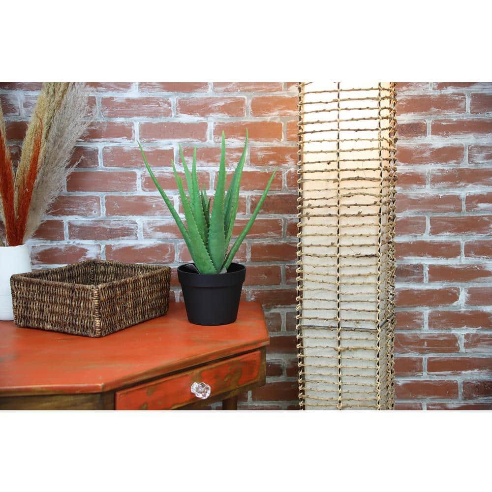 The Mod Greenhouse 19" Artificial Green Aloe Vera Plant in a Matte Black Grower's Pot