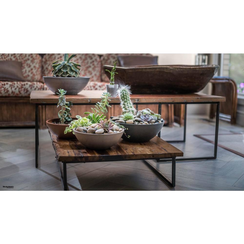 Algreen Valencia Planter, Bowl Planter, 12-In. Diameter by 4.75-In., Spun Chocolate, 2 Pack