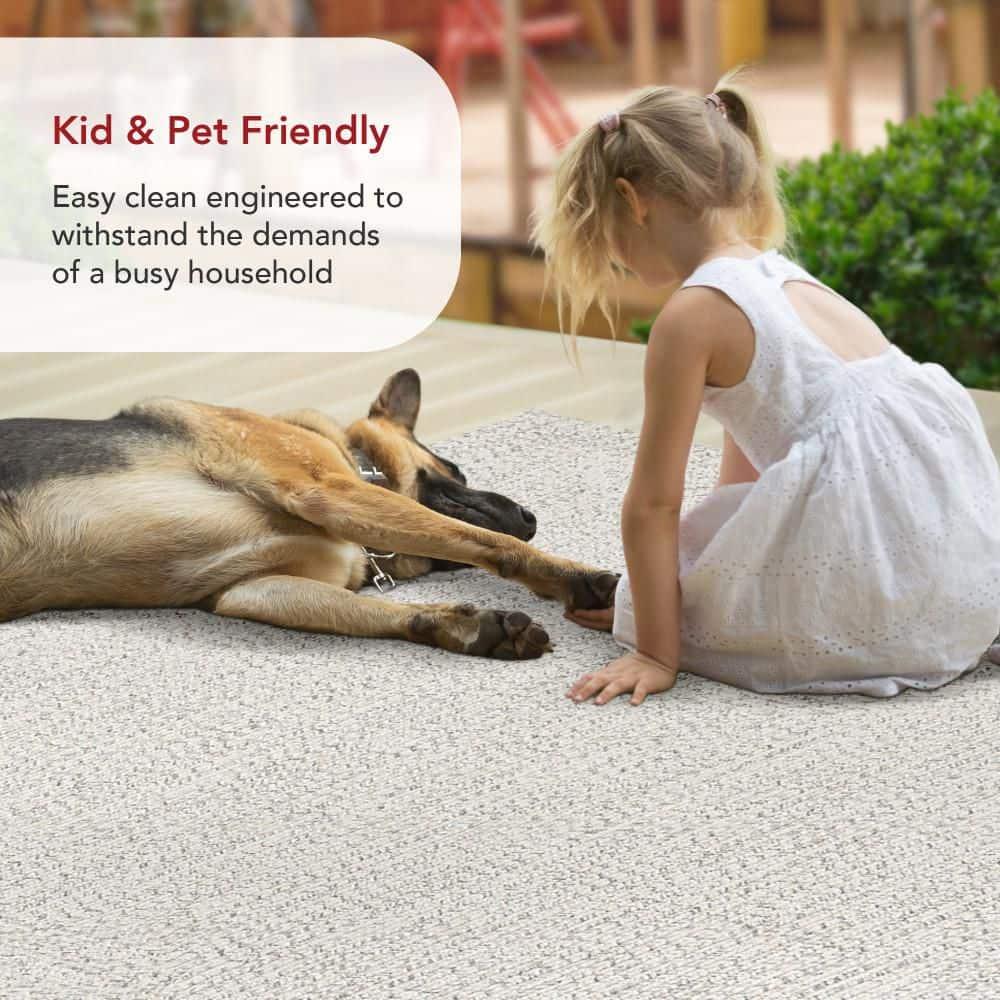 nuLOOM Wynn Braided Indoor/Outdoor Ivory 2' x 3' Casual Area Rug
