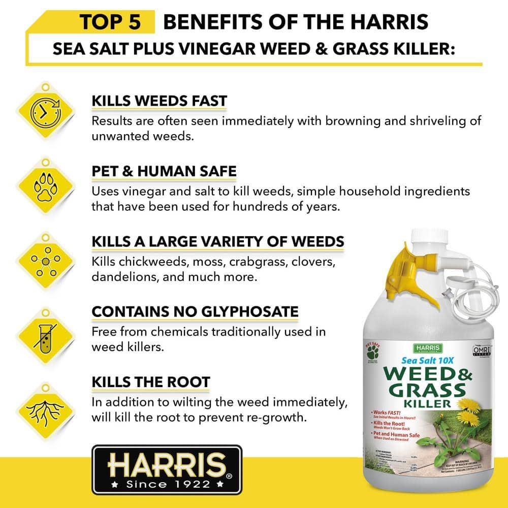 Harris Sea Salt 10X Organic Weed & Grass Killer, 1 Gallon