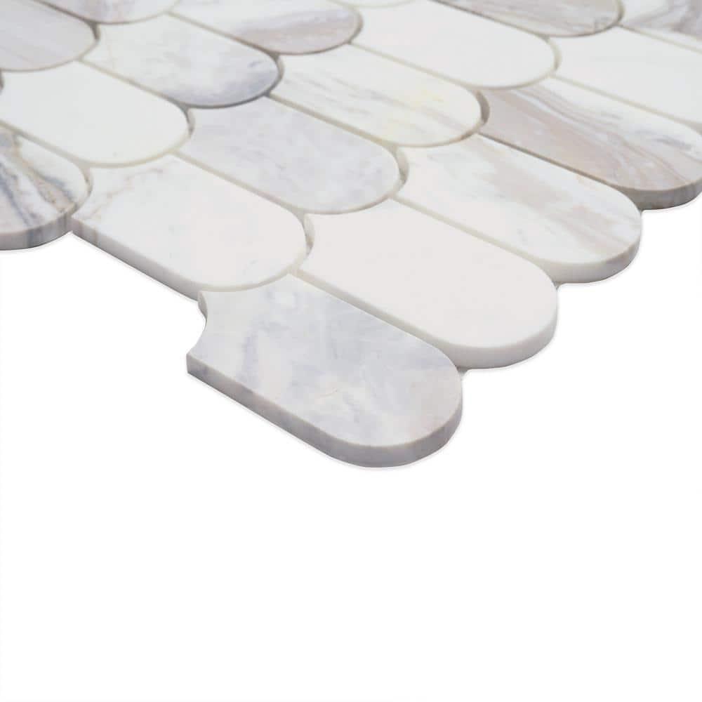 Edessa Scallop 12" x 13" Polished Marble Mosaic Floor and Wall Tile