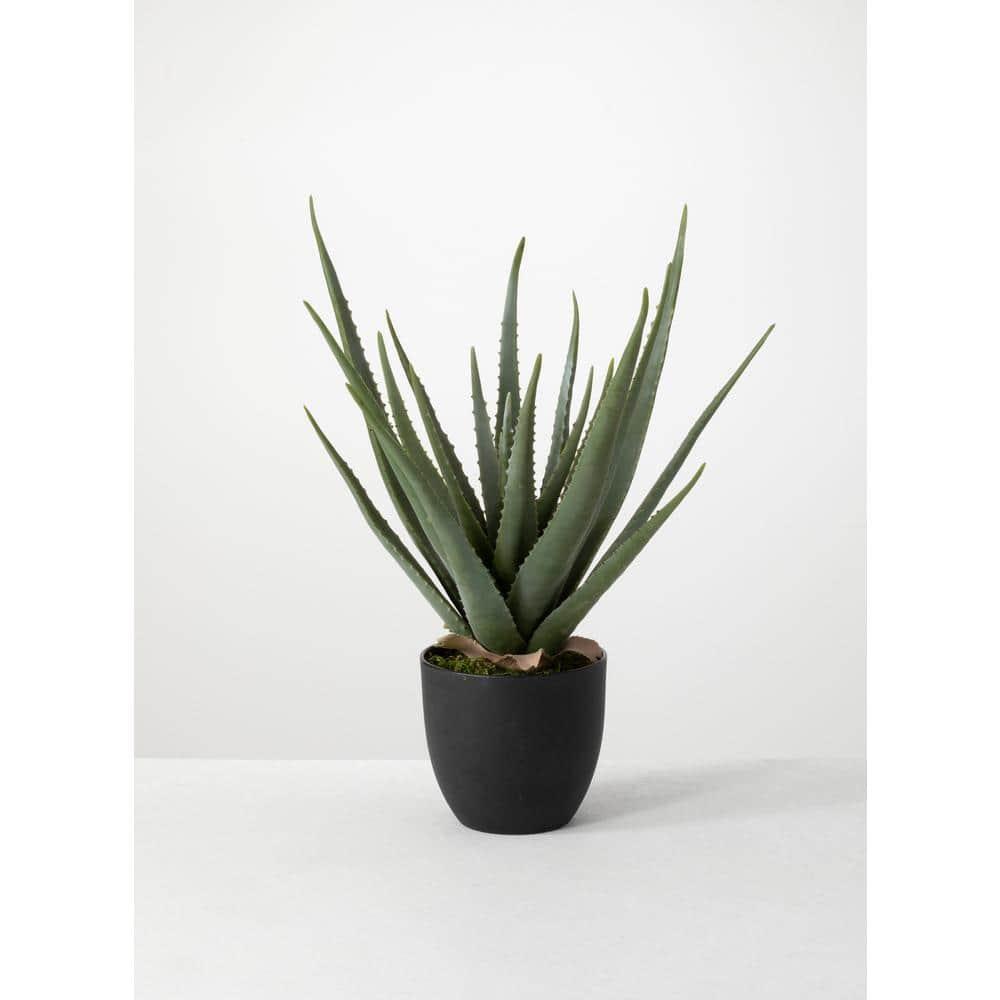 Sullivans Artificial 24" Potted Aloe Plant