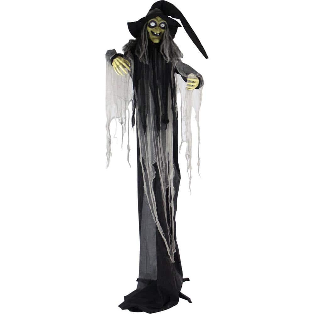 Haunted Hill Farm 9.5-Ft. Animatronic Witch, Indoor or Covered Outdoor Halloween Decoration, Light-up White Eyes, HHWITCH-16FLSA