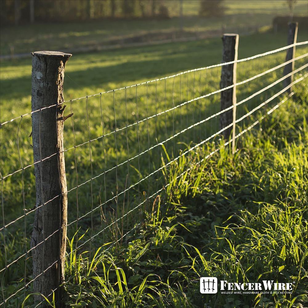 Fencer Wire Fencer Wire 12.5 Gauge Galvanized Welded Fence Wire Roll with Mesh , Multiple Options