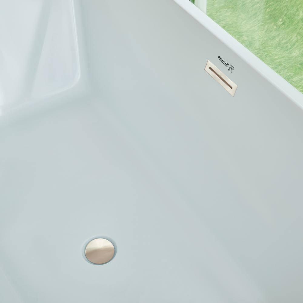 Vanity Art 67" Acrylic Freestanding Soaking Bathtub with Overflow and Pop-up Drain