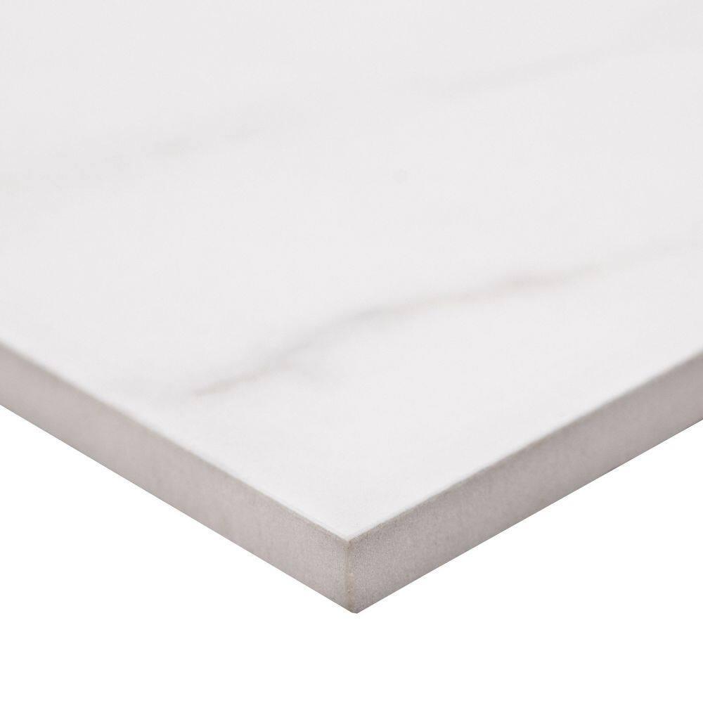 Ackland Zola 24 in. x 24 in. Polished Porcelain Marble Look Floor and Wall Tile