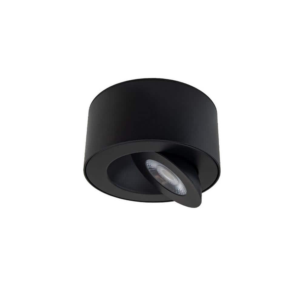 Peek LED Flush Mount