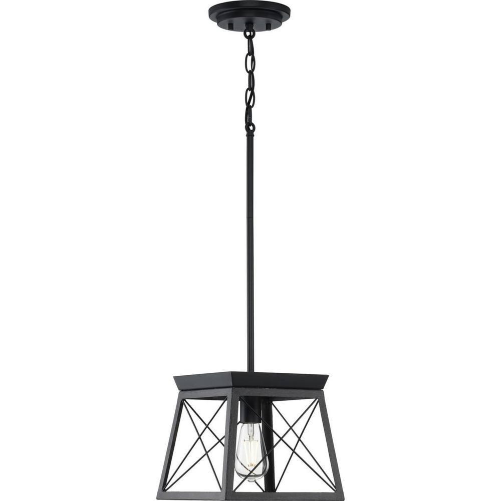 Progress Lighting Briarwood 1-Light Mini-Pendant, Steel, Textured Black, Faux-Painted Wood Enclosure