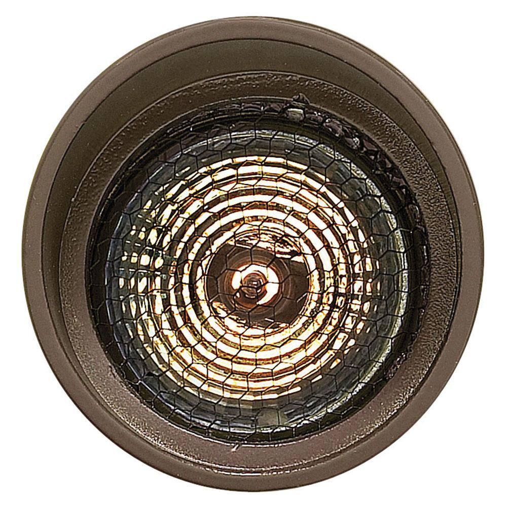 Hinkley Hinkley Accent Spot Light