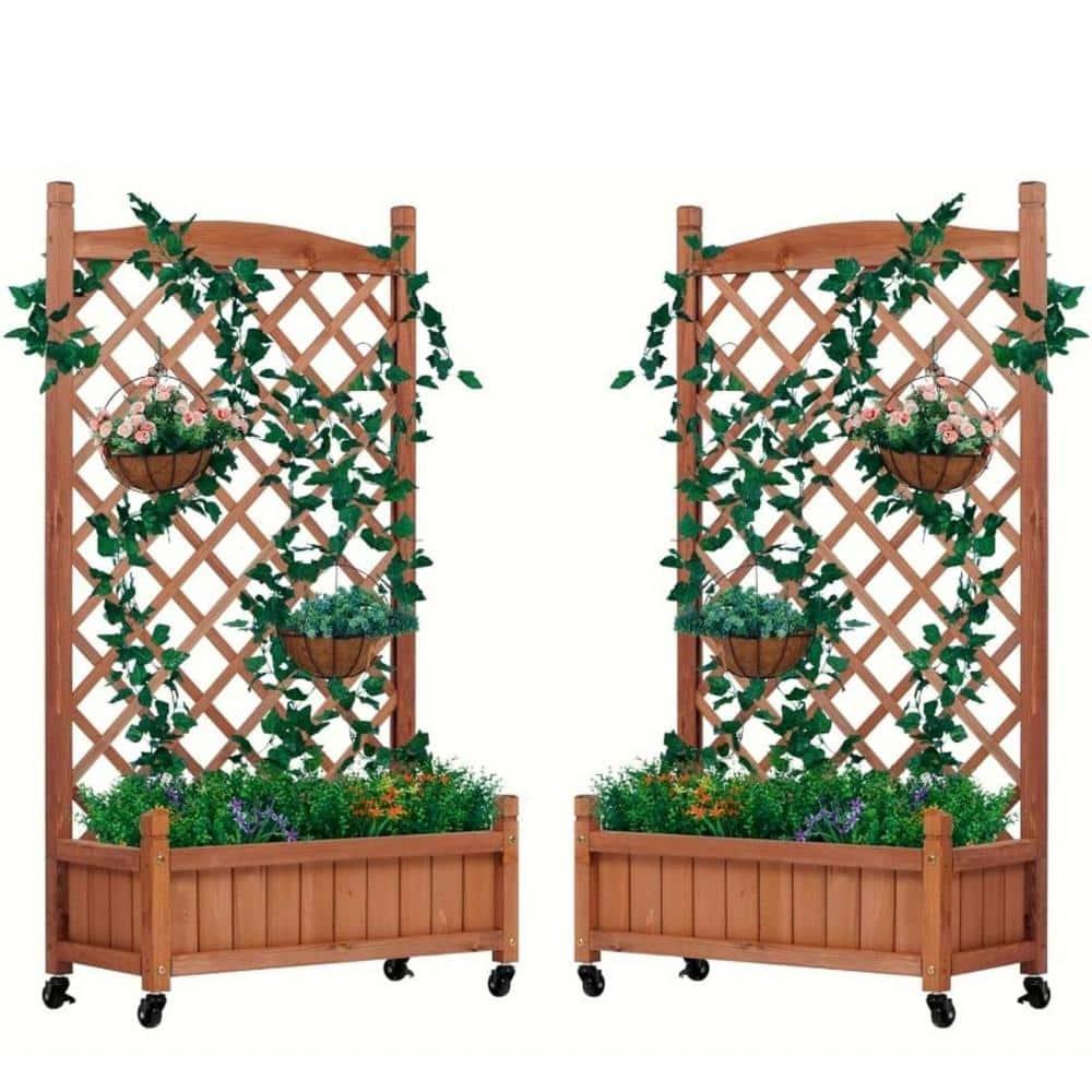 August Grove® Raised Garden Bed With Trellies 2 Pack, Outdoor Wooden Planter Box For Climbing Plants, Vegetables Herb Growing