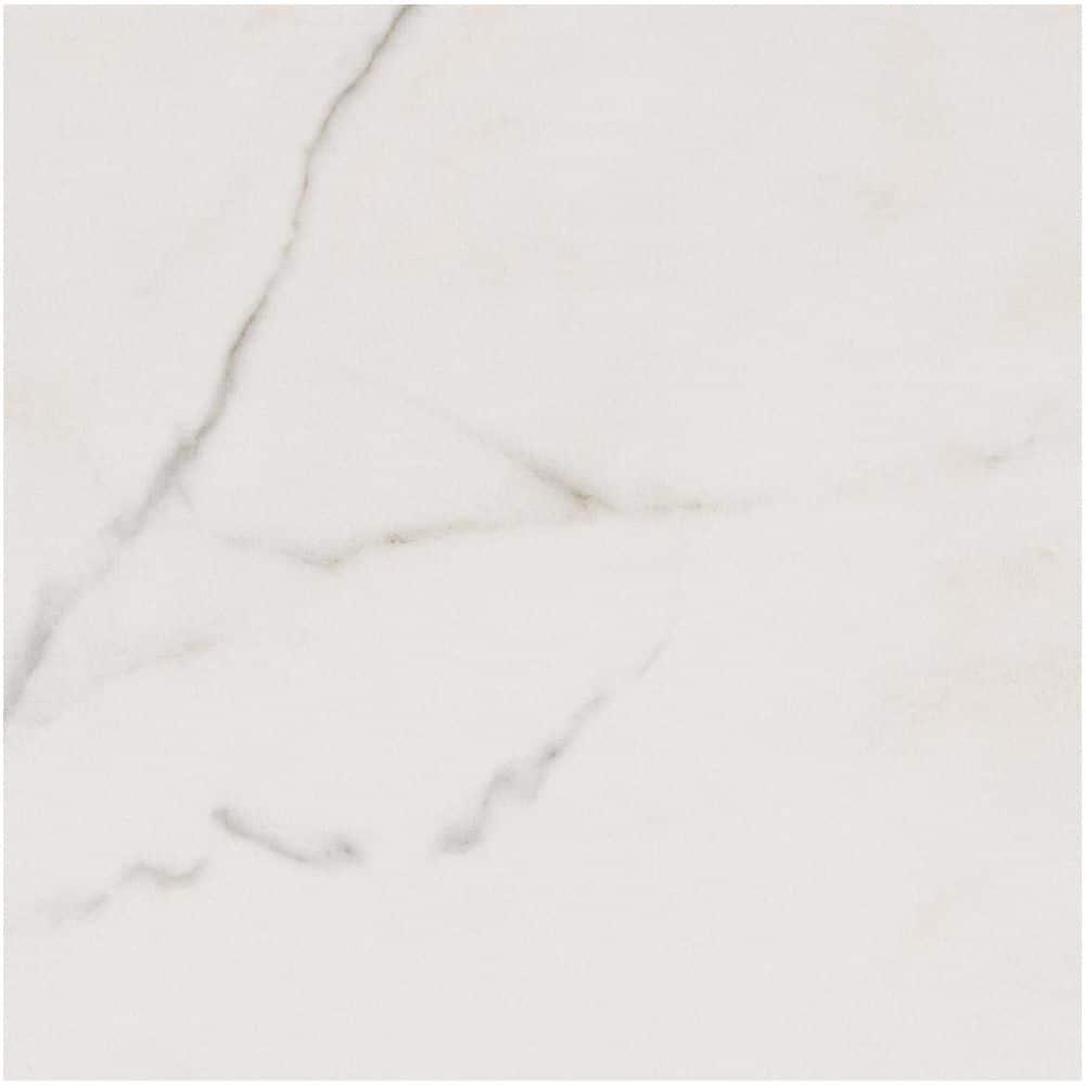Ackland Zola 24 in. x 24 in. Polished Porcelain Marble Look Floor and Wall Tile