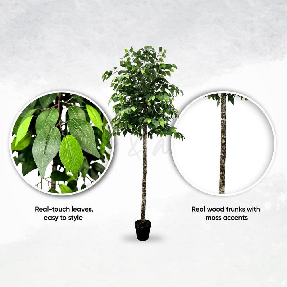 Cypress & Alabaster | Handmade Modern Style 6.5' Artificial Ficus Tree In Home Basics Plastic Pot Made With Real Wood And Moss Accents