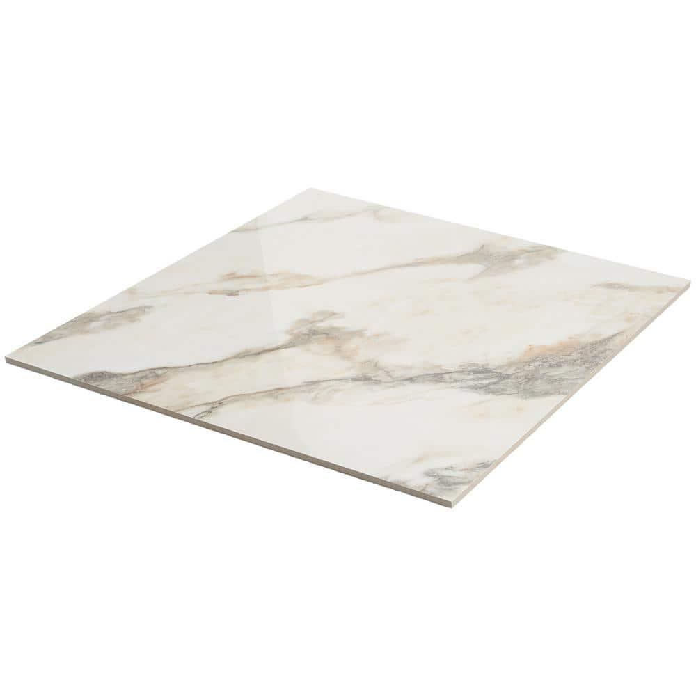 24" x 24" Polished Marble Look Porcelain Floor and Wall Tile (15.5 Sq. Ft. / Case)