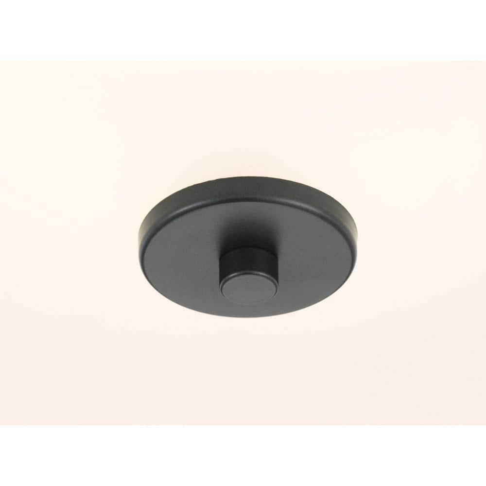 Progress Lighting Inspire Collection 2-Light Semi-Flush Fixture, Graphite Finish, Summer Linen Shade