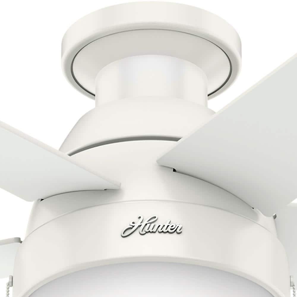 Hunter Fan 46" Anslee 5 - Blade LED Flush Mount Ceiling Fan with Pull Chain and Light Kit Included
