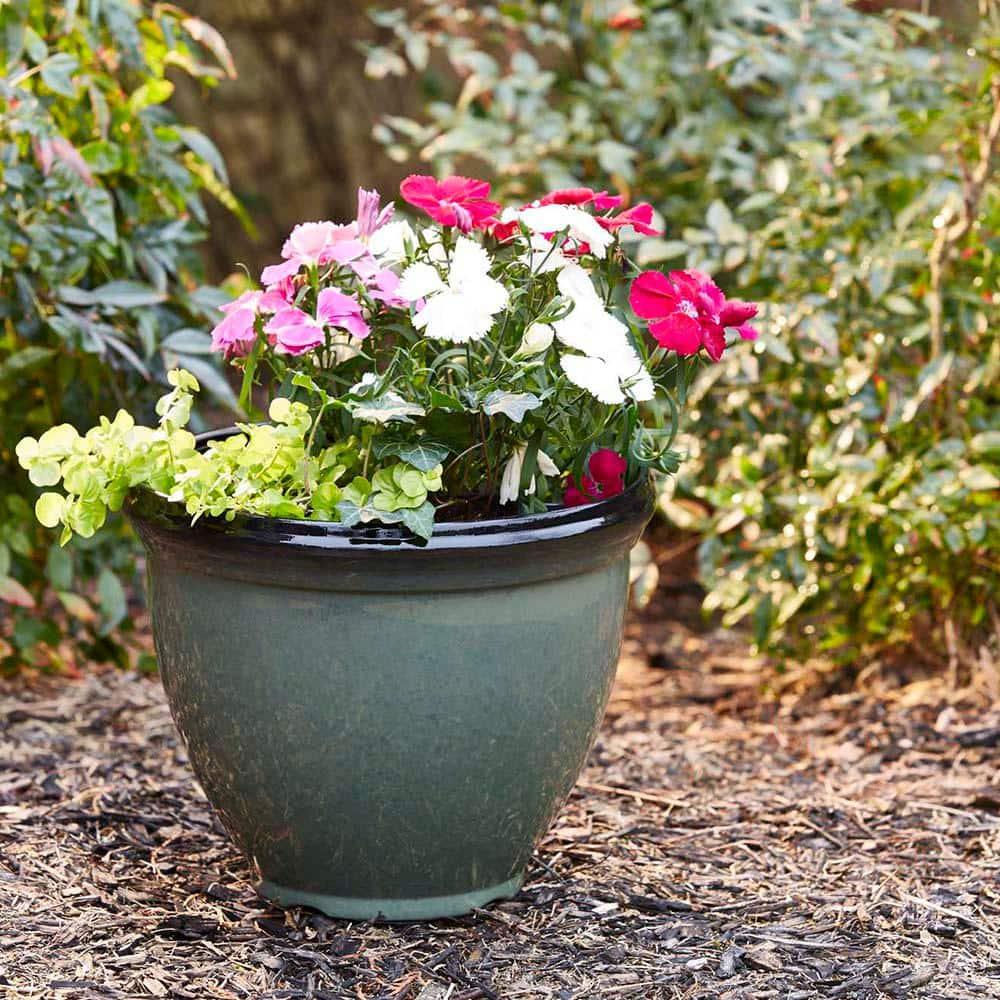 Southern Patio® Pot Planter