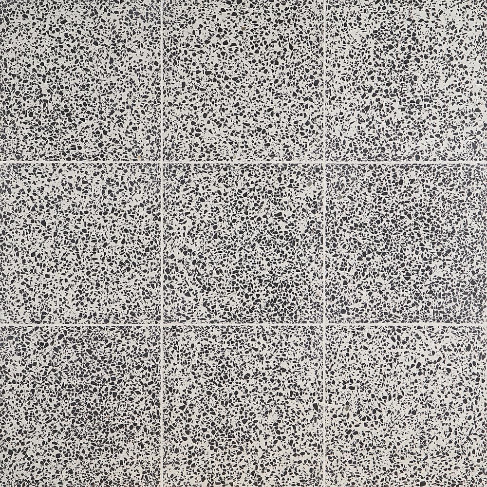 Durham 16.14 in. x 16.14 in. Polished Terrazzo Floor and Wall Tile (3.61 Sq. Ft. / Case)
